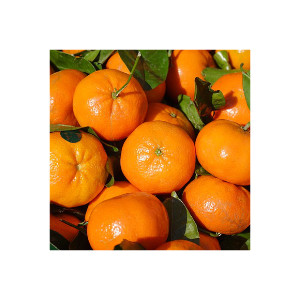 Mandarine